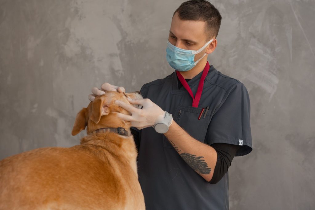 Care for Austin Pets